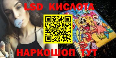 прущие грибы Брянск