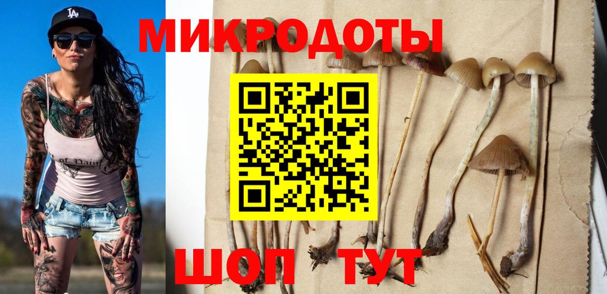 Вышний Волочёк  Галлюциногенные грибы GOLDEN TEACHER  Вход с VPN 