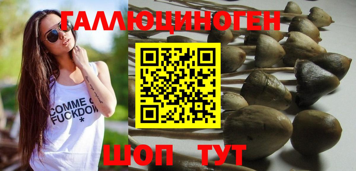 Псилоцибиновые грибы ЛСД Вышний Волочёк